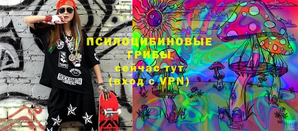 гидра Нея
