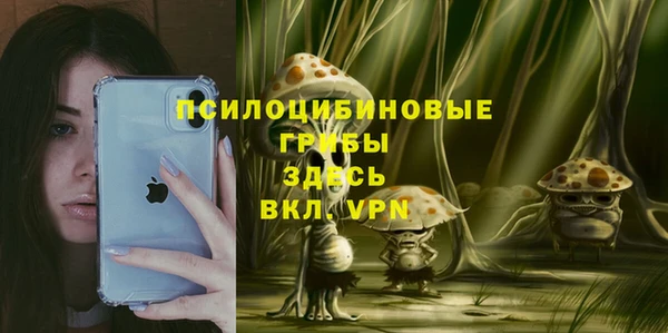 гидра Нея