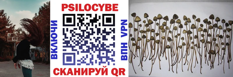 ОМГ ОМГ ссылка  купить наркотики цена  Лангепас  Галлюциногенные грибы Psilocybe 