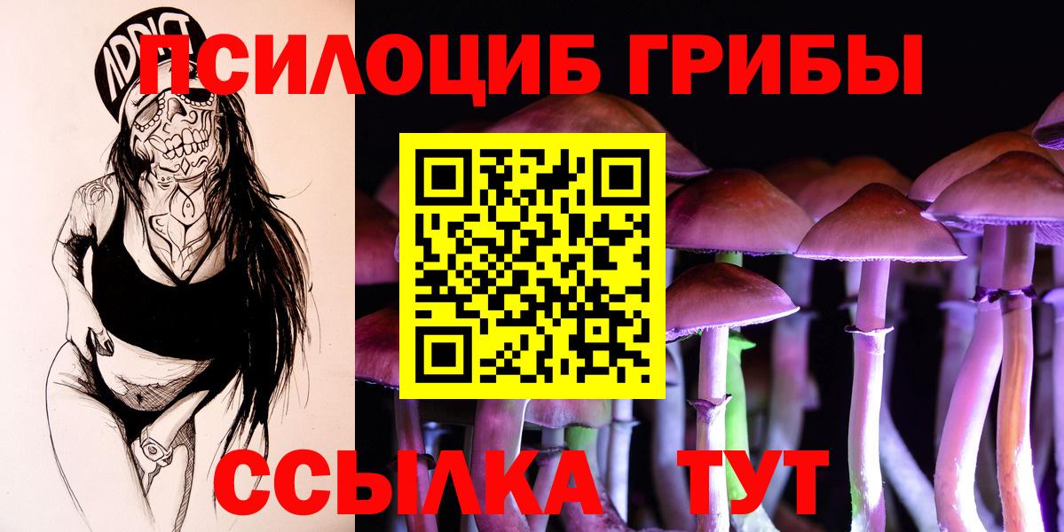 Лангепас  Галлюциногенные грибы Psilocybine cubensis  Галлюциногенные грибы Cubensis  Вход с VPN 